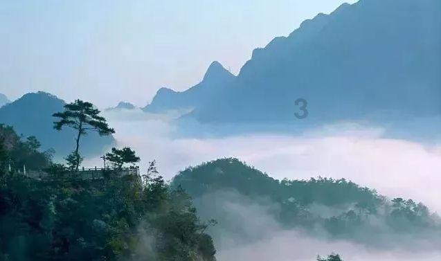 卡哇伊拳击手